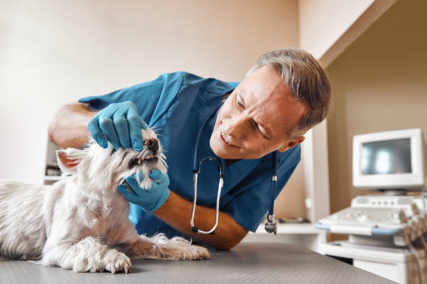 Best Dental Abscess Treatment in Cypress Landing, NC